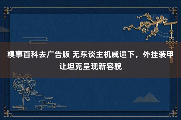 糗事百科去广告版 无东谈主机威逼下，外挂装甲让坦克呈现新容貌