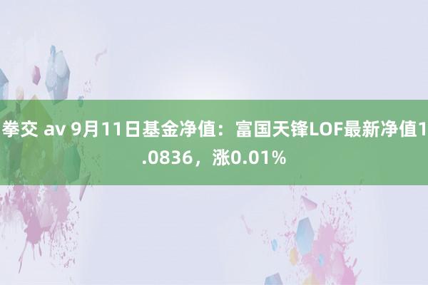 拳交 av 9月11日基金净值：富国天锋LOF最新净值1.0836，涨0.01%