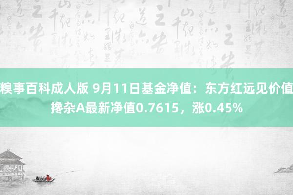 糗事百科成人版 9月11日基金净值：东方红远见价值搀杂A最新净值0.7615，涨0.45%