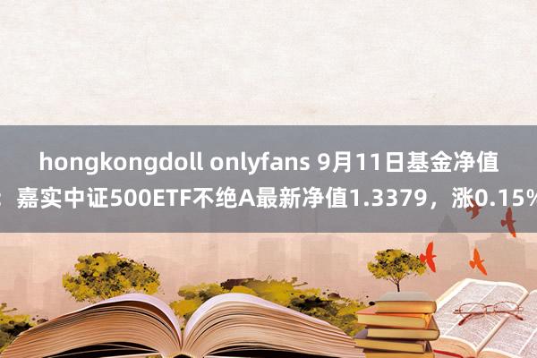 hongkongdoll onlyfans 9月11日基金净值：嘉实中证500ETF不绝A最新净值1