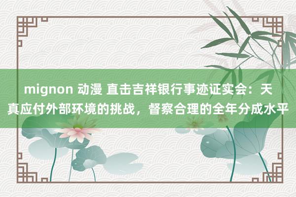 mignon 动漫 直击吉祥银行事迹证实会：天真应付外部环境的挑战，督察合理的全年分成水平