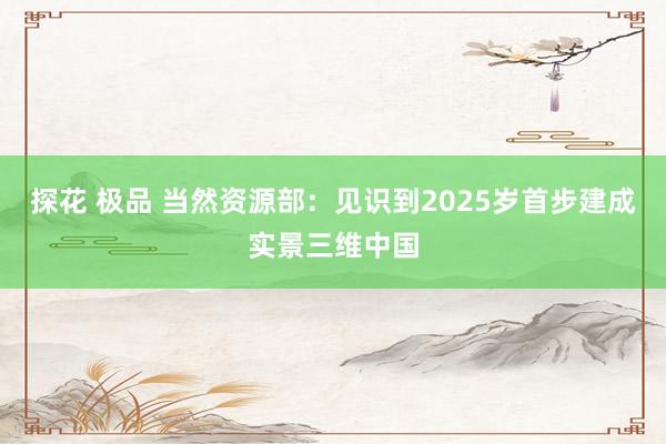 探花 极品 当然资源部：见识到2025岁首步建成实景三维中国