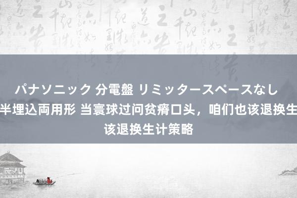 パナソニック 分電盤 リミッタースペースなし 露出・半埋込両用形 当寰球过问贫瘠口头，咱们也该退换生