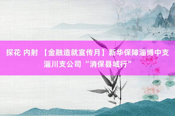 探花 内射 【金融造就宣传月】新华保障淄博中支淄川支公司 “消保县域行”