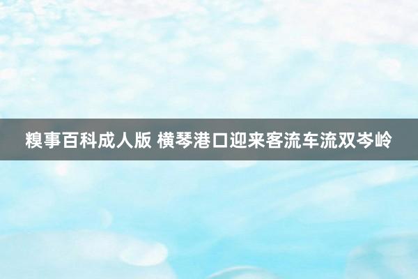 糗事百科成人版 横琴港口迎来客流车流双岑岭