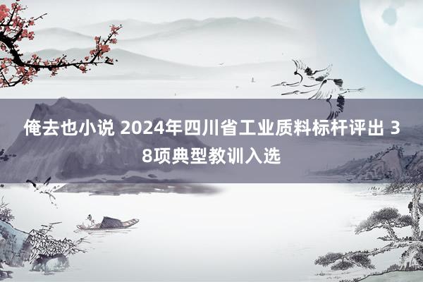 俺去也小说 2024年四川省工业质料标杆评出 38项典型教训入选