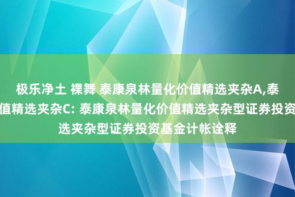 极乐净土 裸舞 泰康泉林量化价值精选夹杂A,泰康泉林量化价值精选夹杂C: 泰康泉林量化价值精选夹杂型