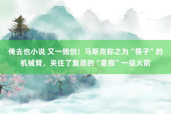 俺去也小说 又一独创！马斯克称之为“筷子”的机械臂，夹住了复返的“星舰”一级火箭