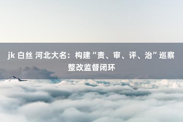 jk 白丝 河北大名：构建“责、审、评、治”巡察整改监督闭环