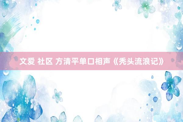 文爱 社区 方清平单口相声《秃头流浪记》