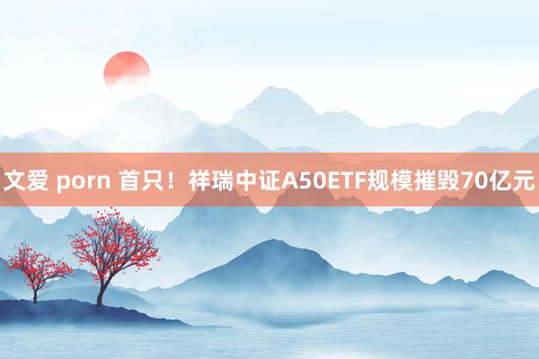 文爱 porn 首只！祥瑞中证A50ETF规模摧毁70亿元