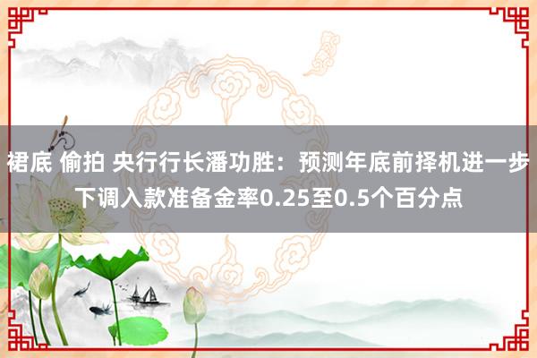 裙底 偷拍 央行行长潘功胜：预测年底前择机进一步下调入款准备金率0.25至0.5个百分点