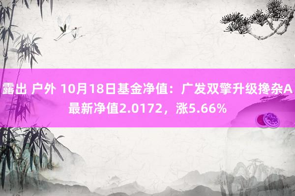 露出 户外 10月18日基金净值：广发双擎升级搀杂A最新净值2.0172，涨5.66%