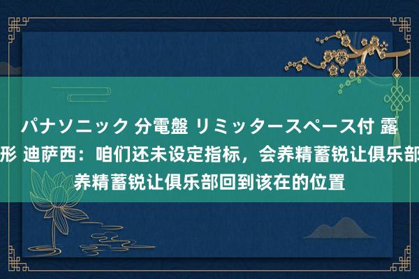 パナソニック 分電盤 リミッタースペース付 露出・半埋込両用形 迪萨西：咱们还未设定指标，会养精蓄锐