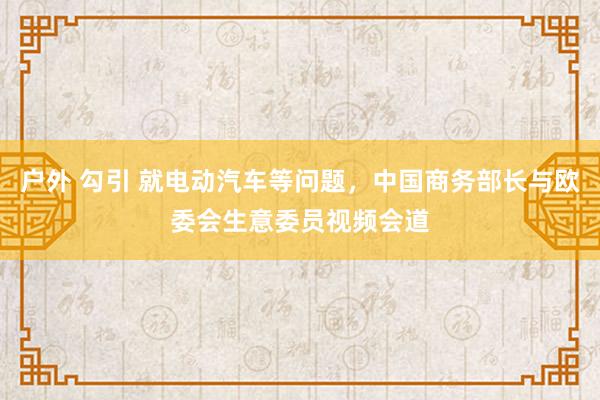 户外 勾引 就电动汽车等问题，中国商务部长与欧委会生意委员视频会道