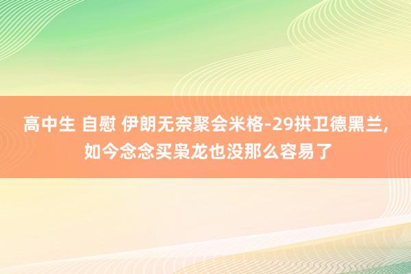 高中生 自慰 伊朗无奈聚会米格-29拱卫德黑兰, 如今念念买枭龙也没那么容易了