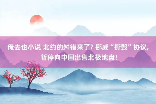 俺去也小说 北约的舛错来了? 挪威“撕毁”协议, 暂停向中国出售北极地盘!