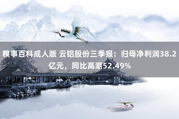 糗事百科成人版 云铝股份三季报：归母净利润38.2亿元，同比高潮52.49%