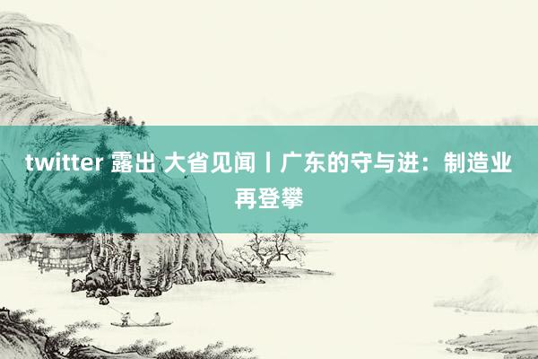 twitter 露出 大省见闻丨广东的守与进：制造业再登攀