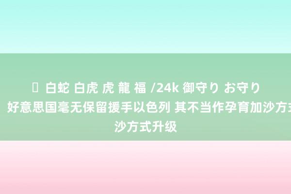 ✨白蛇 白虎 虎 龍 福 /24k 御守り お守り 各人：好意思国毫无保留援手以色列 其不当作孕育加