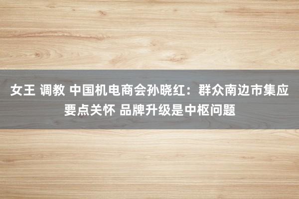 女王 调教 中国机电商会孙晓红：群众南边市集应要点关怀 品牌升级是中枢问题