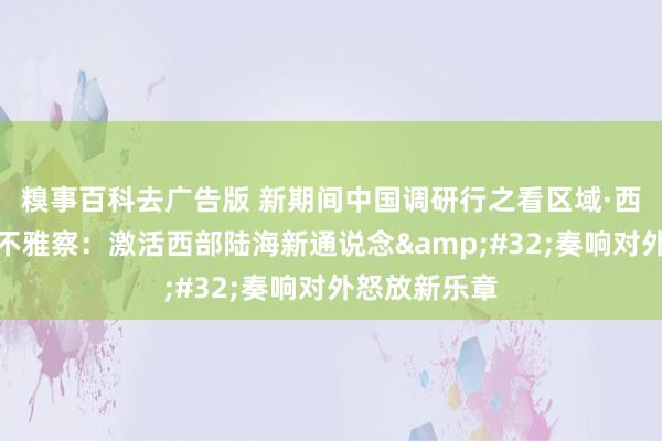 糗事百科去广告版 新期间中国调研行之看区域·西部篇丨记者不雅察：激活西部陆海新通说念&#32