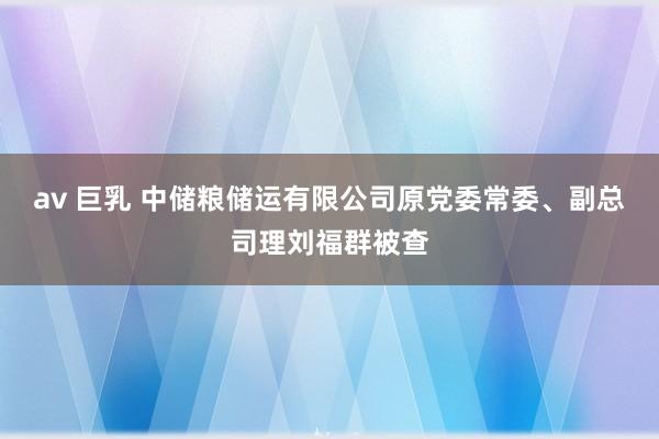 av 巨乳 中储粮储运有限公司原党委常委、副总司理刘福群被查