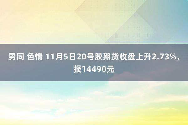 男同 色情 11月5日20号胶期货收盘上升2.73%，报14490元