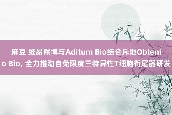 麻豆 维昂然博与Aditum Bio结合斥地Oblenio Bio, 全力推动自免限度三特异性T细胞