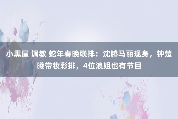 小黑屋 调教 蛇年春晚联排：沈腾马丽现身，钟楚曦带妆彩排，4位浪姐也有节目