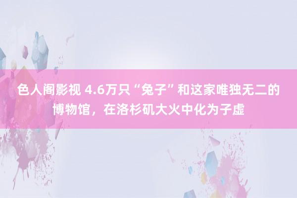 色人阁影视 4.6万只“兔子”和这家唯独无二的博物馆，在洛杉矶大火中化为子虚