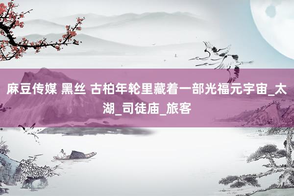 麻豆传媒 黑丝 古柏年轮里藏着一部光福元宇宙_太湖_司徒庙_旅客