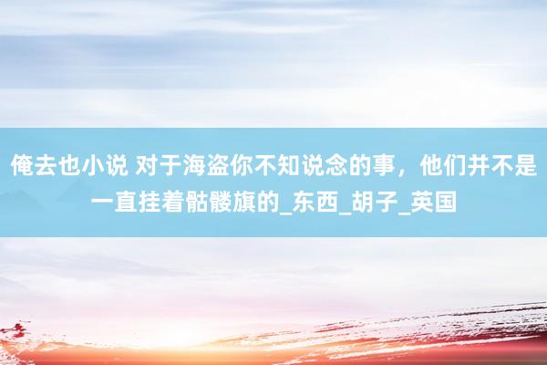 俺去也小说 对于海盗你不知说念的事，他们并不是一直挂着骷髅旗的_东西_胡子_英国