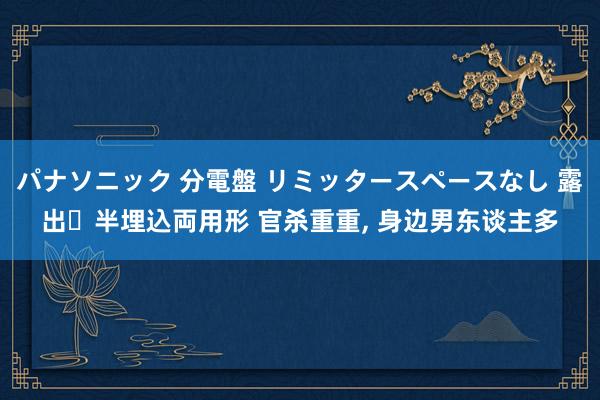 パナソニック 分電盤 リミッタースペースなし 露出・半埋込両用形 官杀重重, 身边男东谈主多